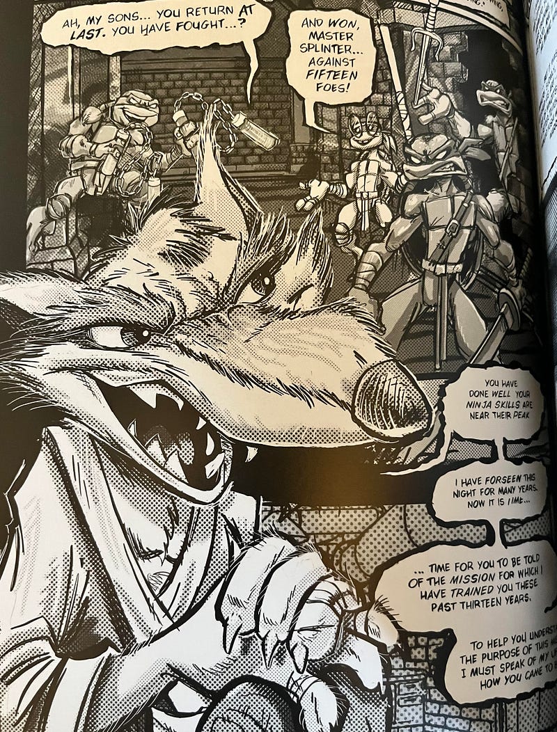 Single panel of Splinter talking to the four Ninja Turtles.